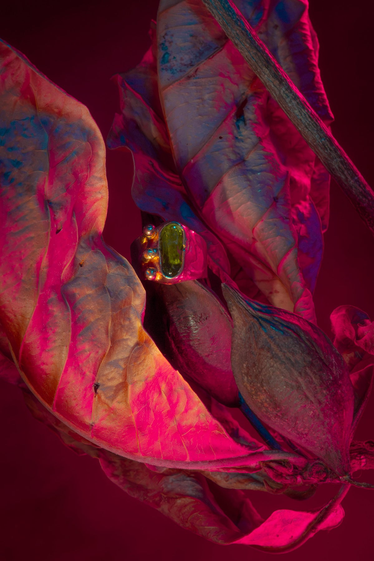 ANILLOS