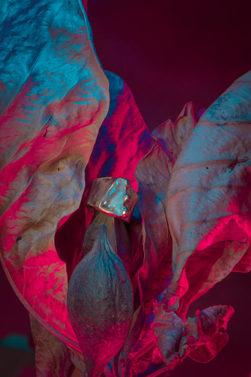 ANILLO NODO
