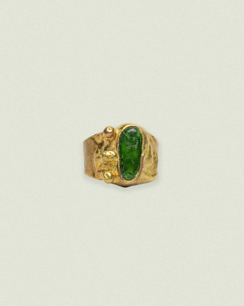 ANILLO UMBRAL frontal